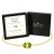 Peridot Birthstone Bracelet in 14K Gold Plating
