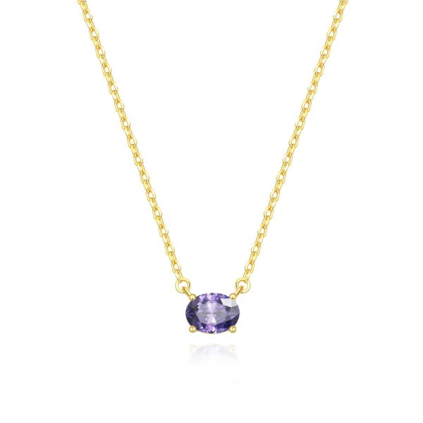 Amethyst Birthstone Necklace in 14K Gold Plating